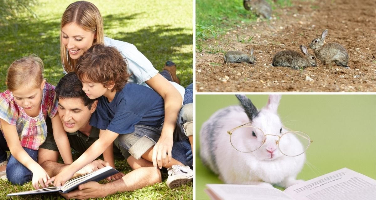 Conejos: Todo lo que debes saber sobre estas adorables mascotas